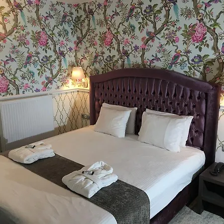 Dukes' Academie - By Dukes' Collection Bruges